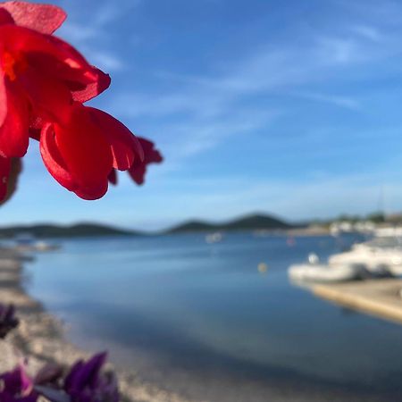 Amore Del Mare, Seaside Family Pace, Free Parking And Wifi In Camp Dalmatino 드라게 외부 사진